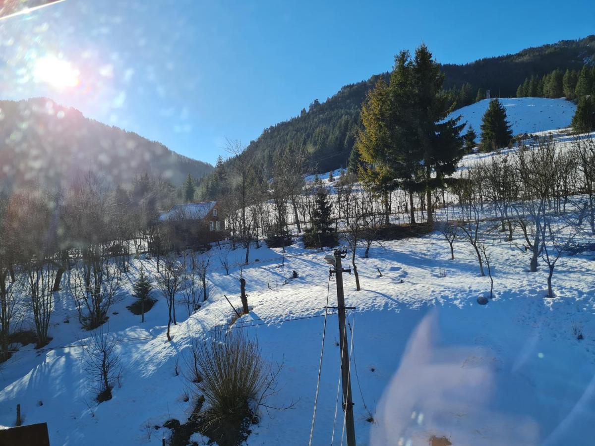 Penzion Mala Fatra U Durka Žilina Extérieur photo